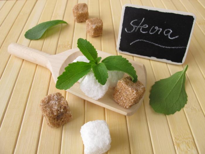 seker-xestelerinin-umid-yeri