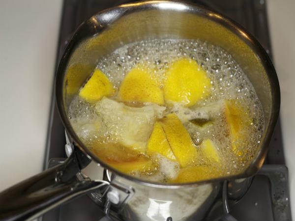 portledilmis-limonun-faydalari