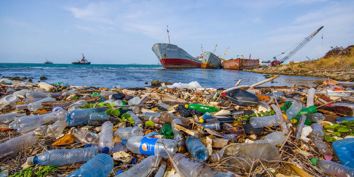 curumesi-ucun-500-il-lazim-olan-plastik-qablardan-nece-imtina-etmek-olar