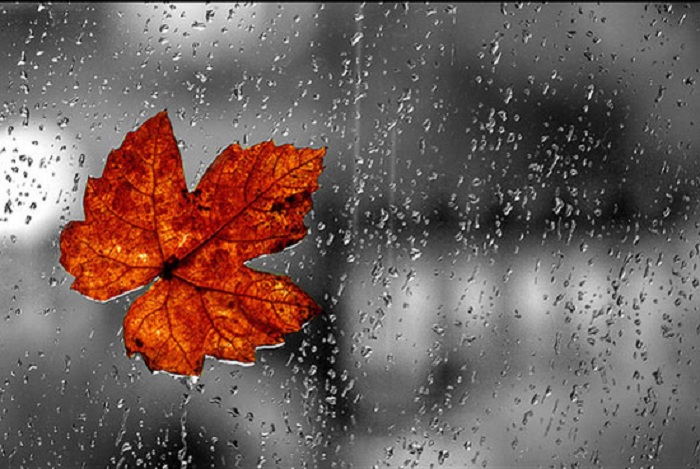 dekabrin-13-ne-hava-ne-ved-edir-1