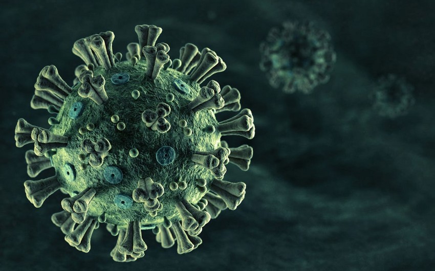 koronavirus-ne-rengdedir