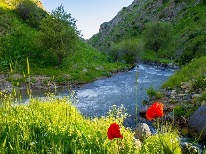 su-cersenbesinin-adetleri