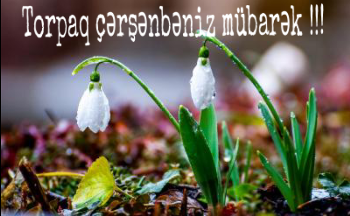 ilaxir-cersenbesinin-adetleri-nelerdir