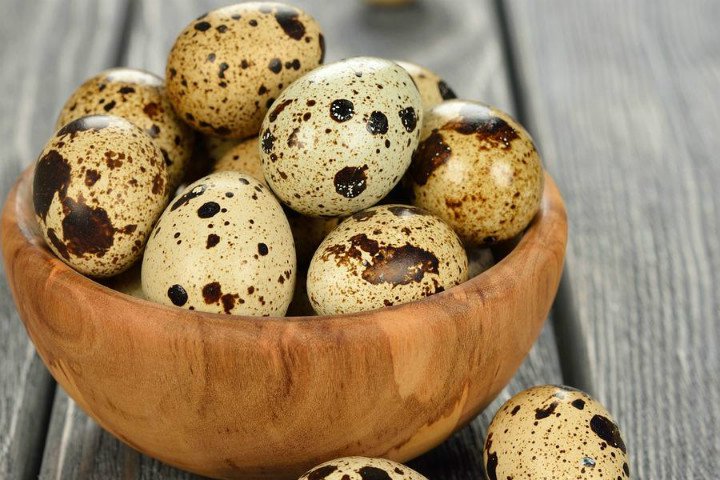 bildircin-yumurtasi-nece-yeyilmelidir