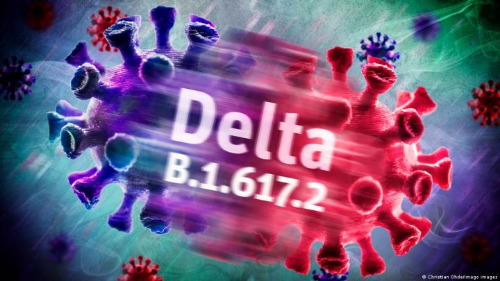 delta-stammina-yoluxanlarin-orqanizminde-hansi-prosesler-gedir