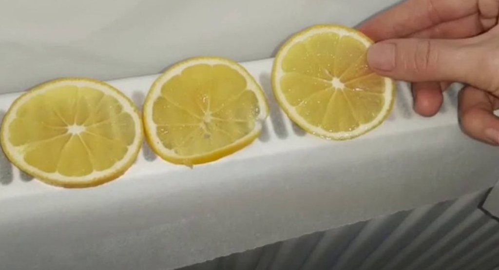 istilik-batareyalarinin-uzerine-limon-qabigi-qoysaniz