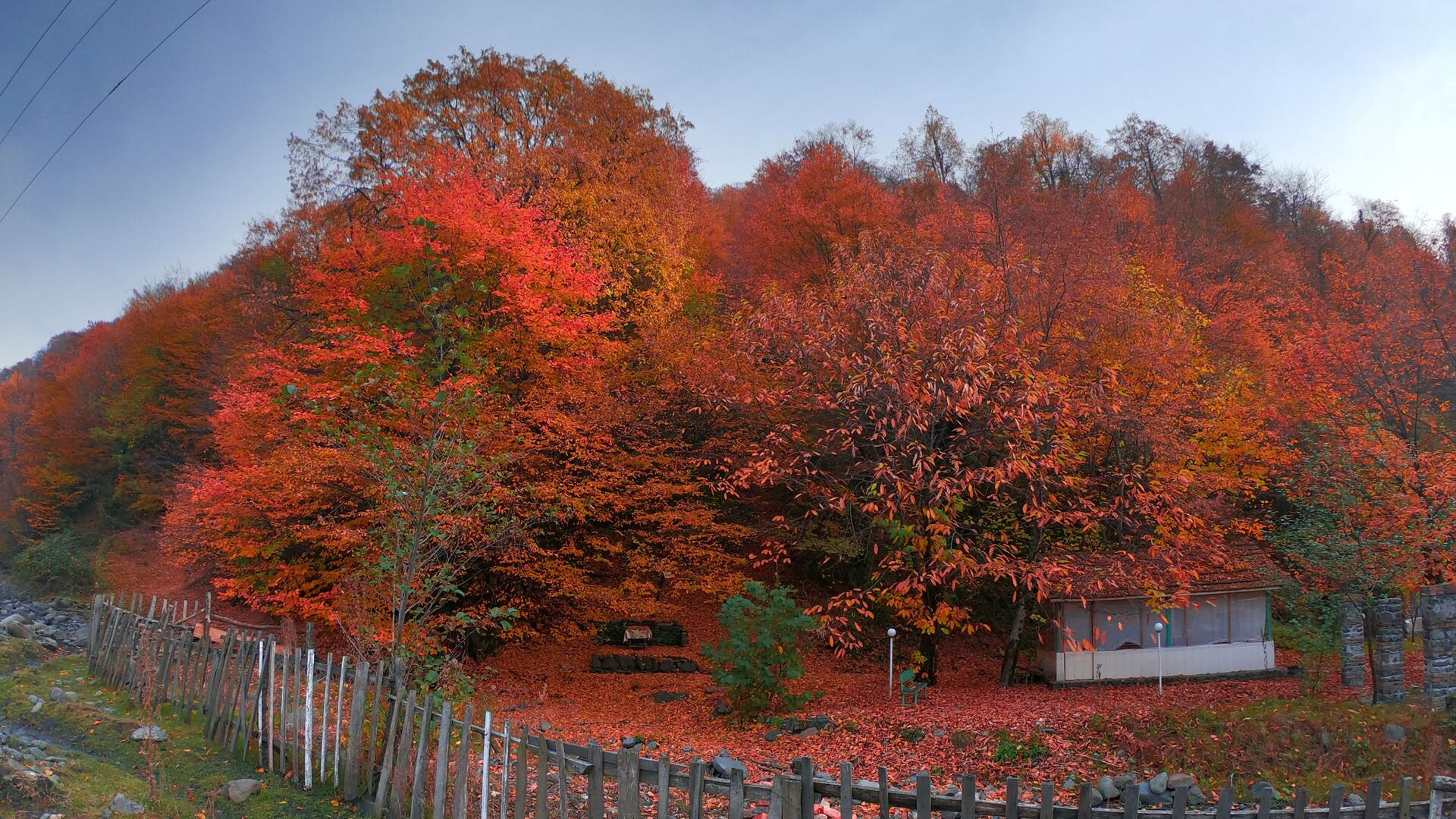 noyabrin-3-ne-olan-hava-haqda
