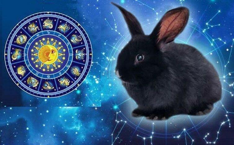 2023-cu-il-neler-ved-edir