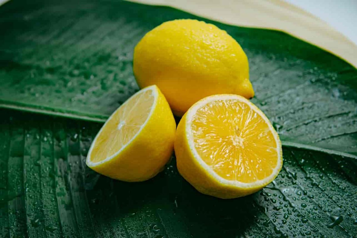 limon-qabiginda-bu-elametler-varsa