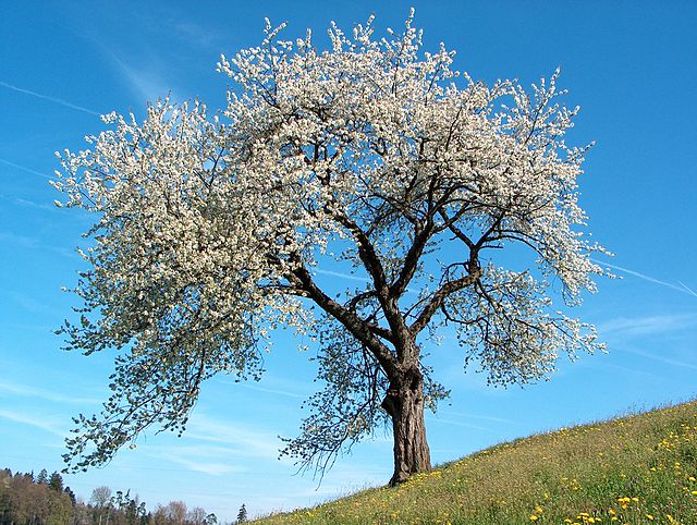 fevralin-22-ne-olan-hava-haqda