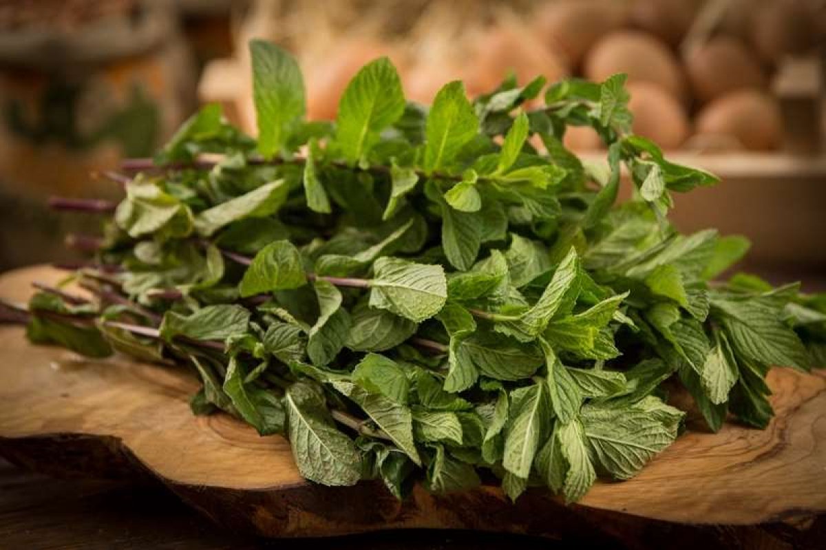 teze-naneni-uzerine-limon-sixib