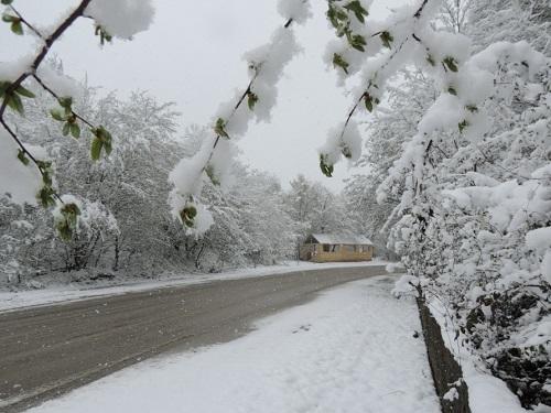 martin-17-ne-olan-hava-haqda