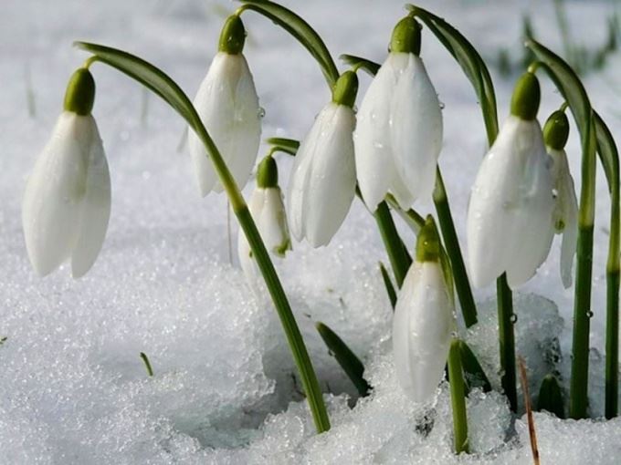 martin-19-na-olan-hava-proqnozu-haqda