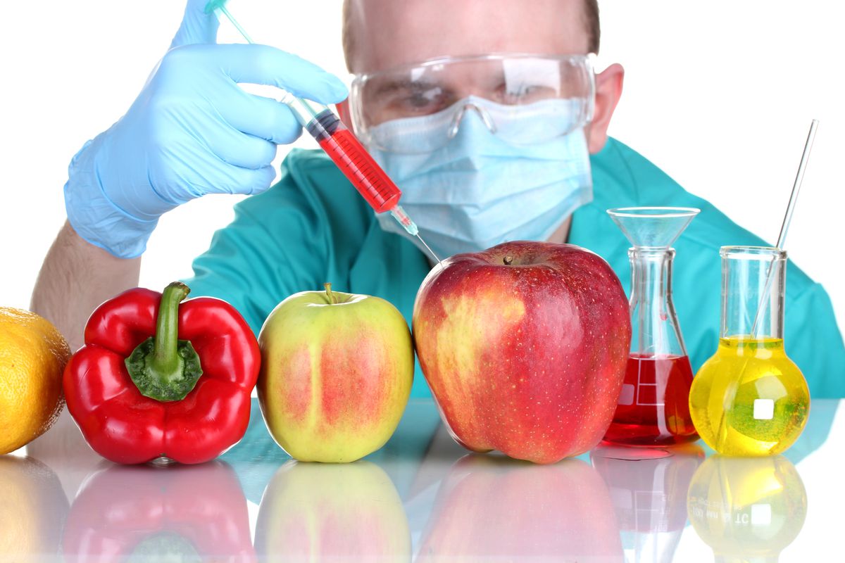 azerbaycanda-gmo-lu-yem-mehsullarinin-istehsali-emali-ve-dovriyyesi-qadagan-edilir