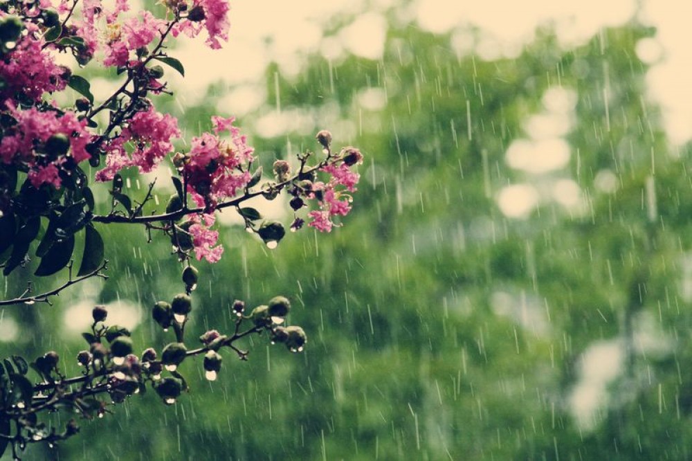 aprelin-21-ne-olan-hava-haqda