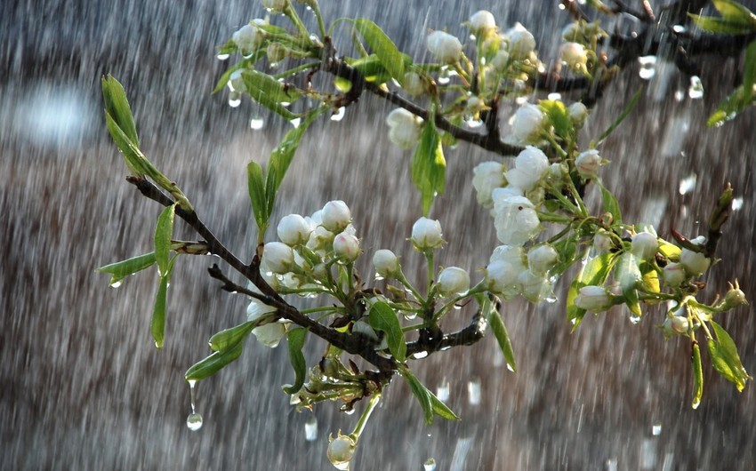 mayin-15-ne-olan-hava-haqda