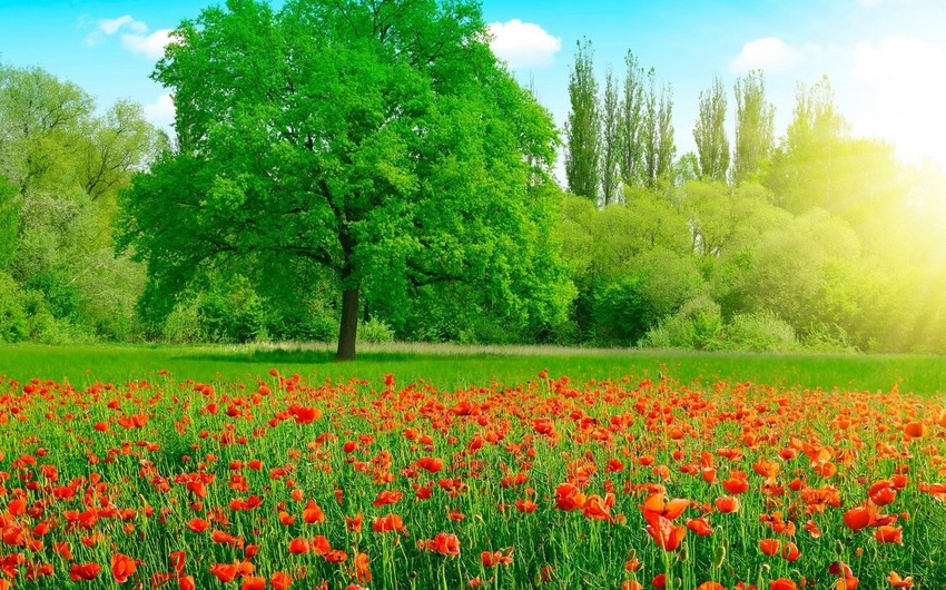 sabah-temperatur-bir-az-da-yukselecek