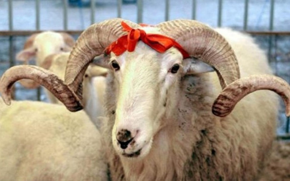 qurban-bayrami-ile-elaqeder-yarmarka-kecirilecek