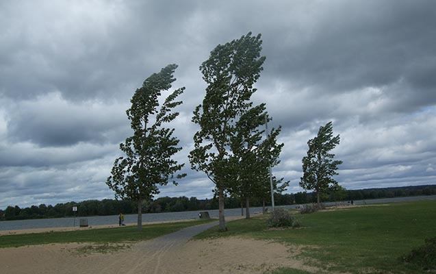 sabah-da-hava-kulekli-olacaq-1