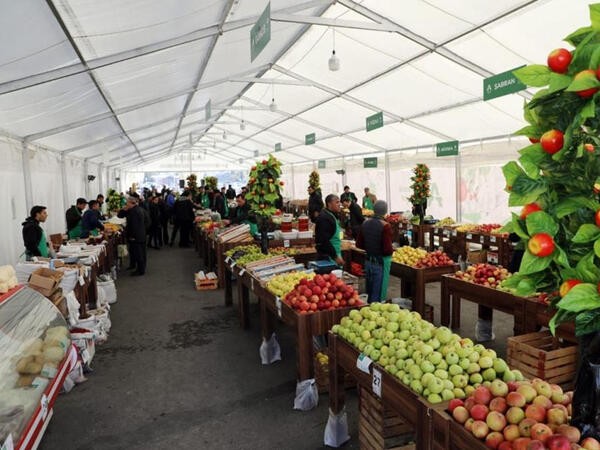 yeni-il-yarmarkalari-fealiyyete-basladi