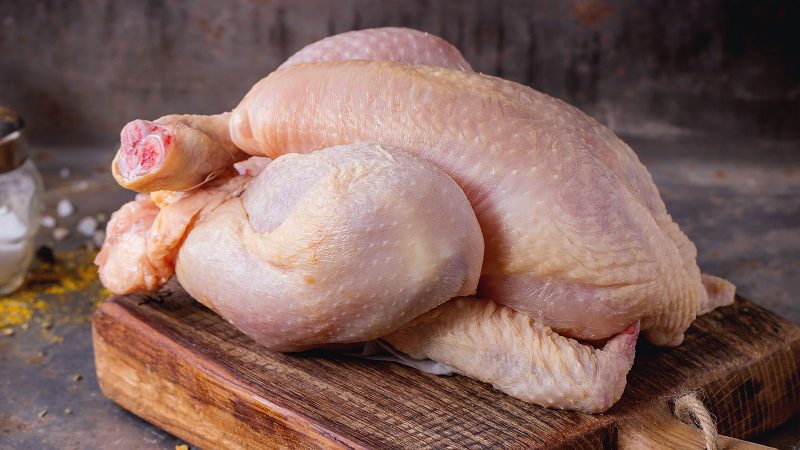 hekim-toyuq-etinde-en-cox-parazitin-oldugu-yerleri-sadalayib