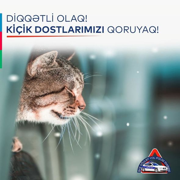 yol-polisi-pisiklerle-bagli-suruculere-xeberdarliq-edib