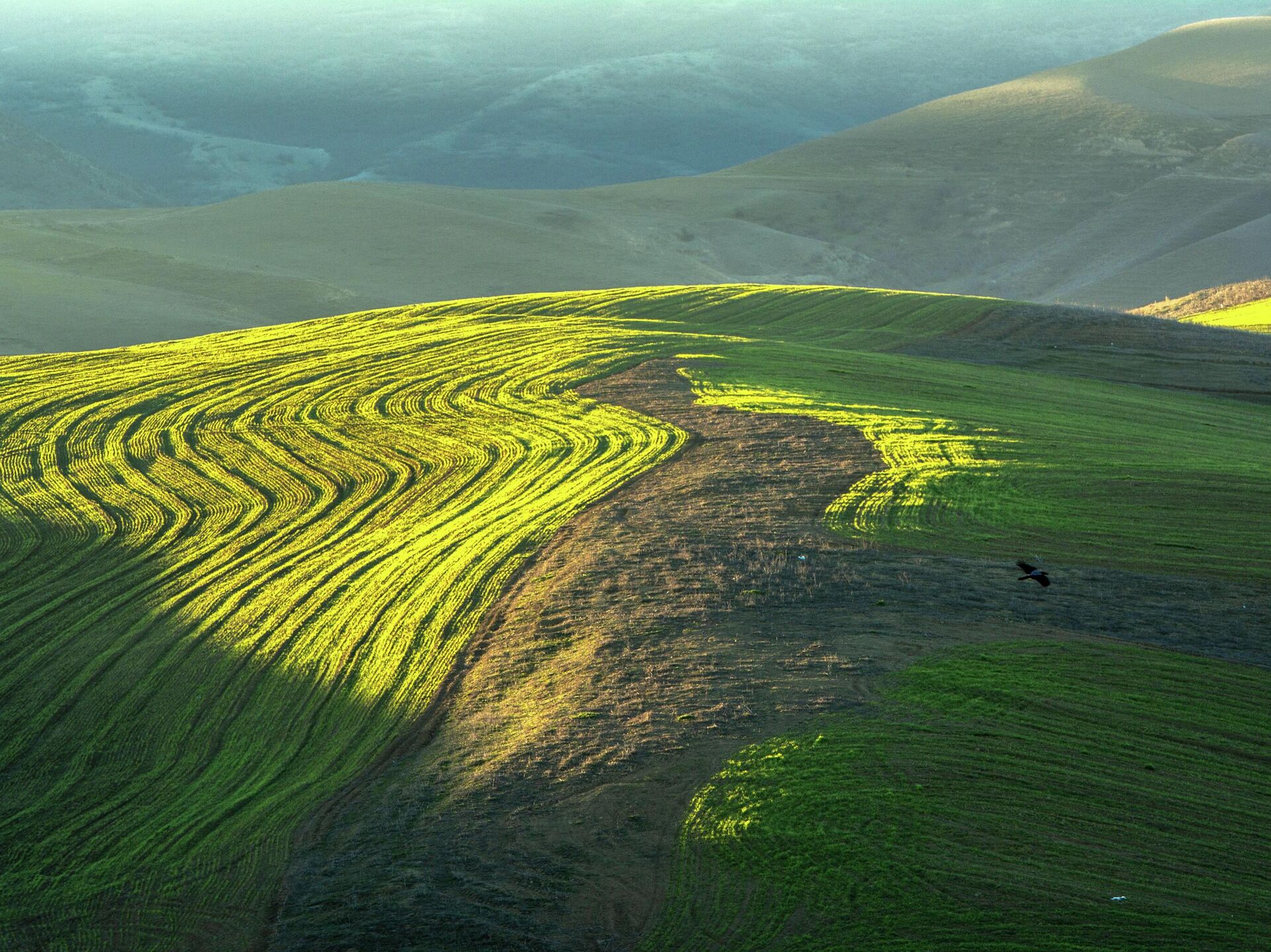 mayin-22-ne-olan-hava-haqda-1