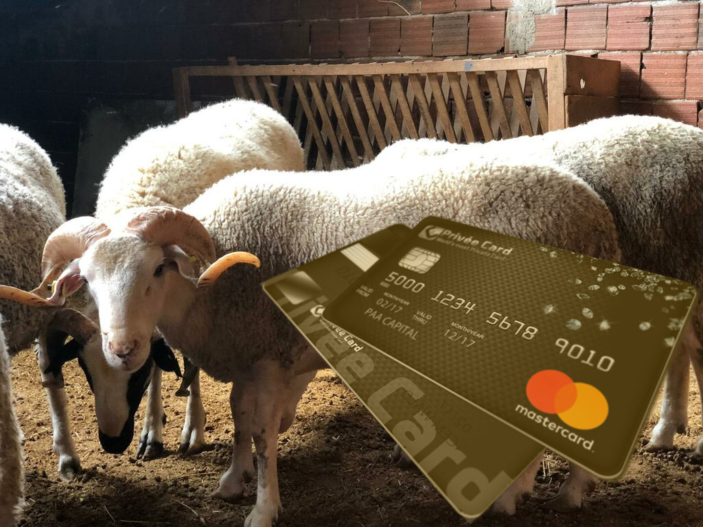 kredit-karti-ile-qurbanliq-heyvan-almaq-olarmi