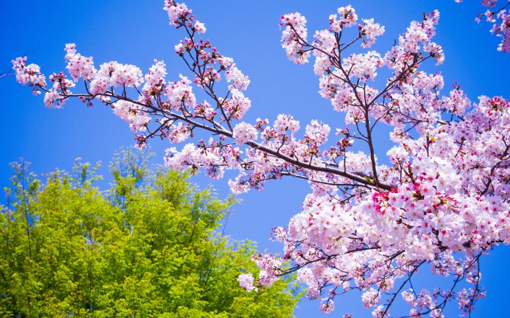 mayin-24-ne-olan-hava-haqda