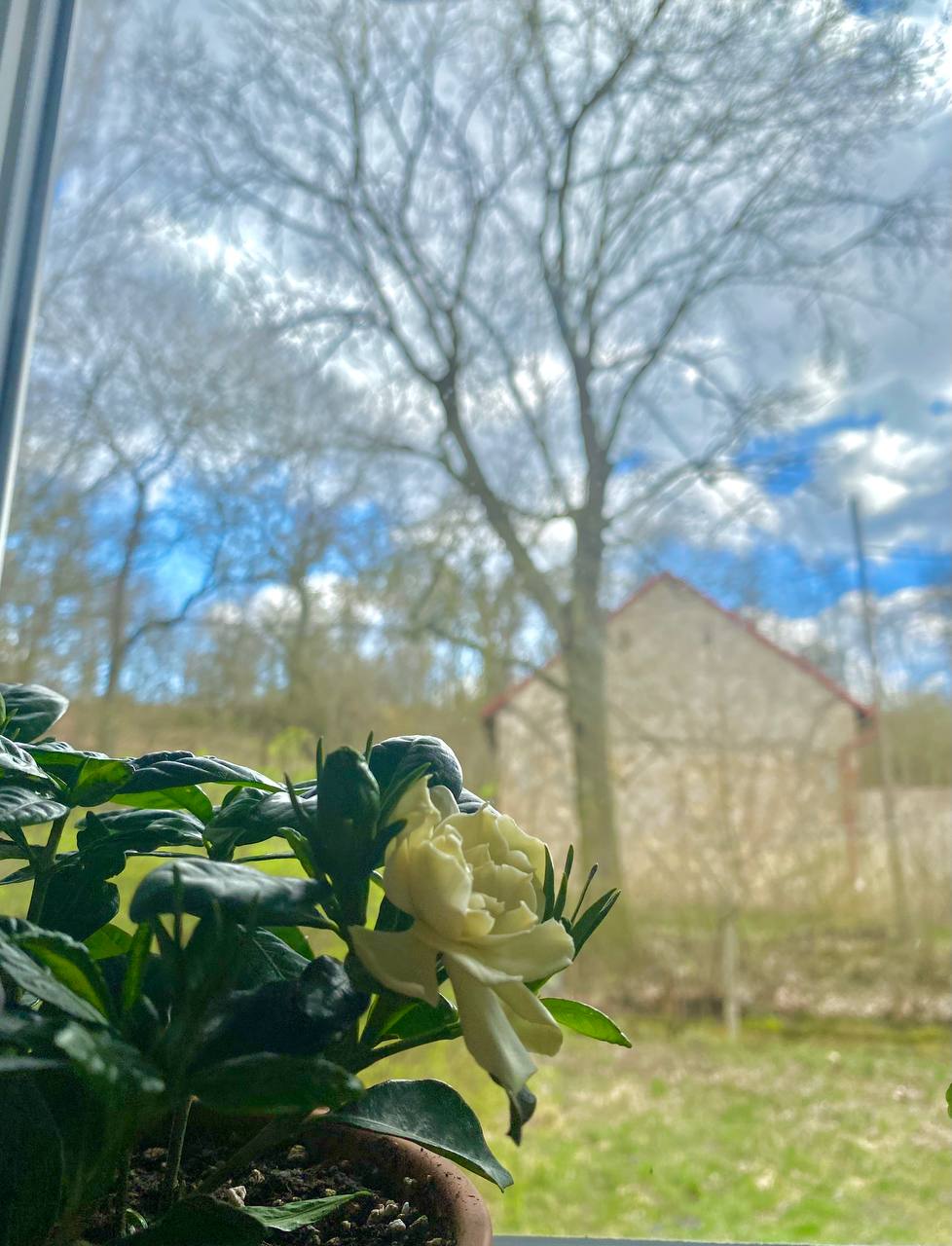mayin-6-na-olan-hava-haqda