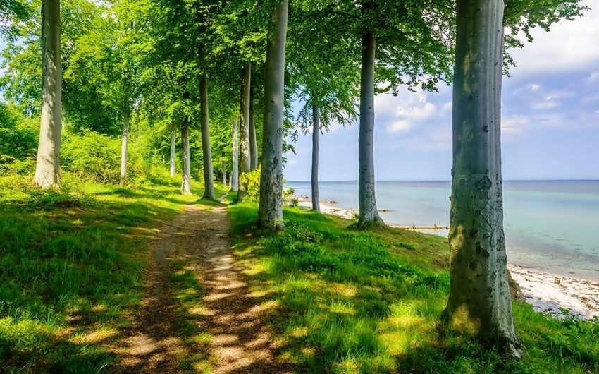 istirahet-gunlerinde-milli-parklarda-gozlenilen-hava