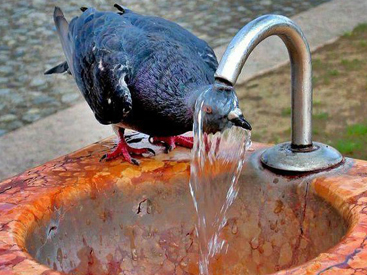 44-derece-isti
