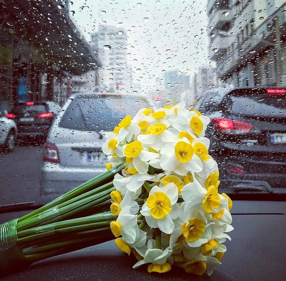 fevralin-21-ne-olan-hava-haqda