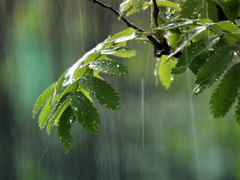 ramazan-ayinin-ilk-gununun-hava-proqnozu-aciqlandi
