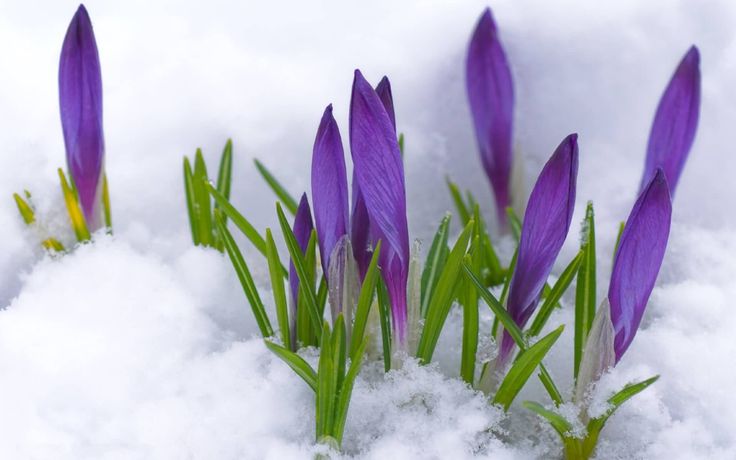 martin-13-ne-olan-hava-1