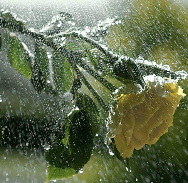 mayin-28-olan-hava-haqda-melumat
