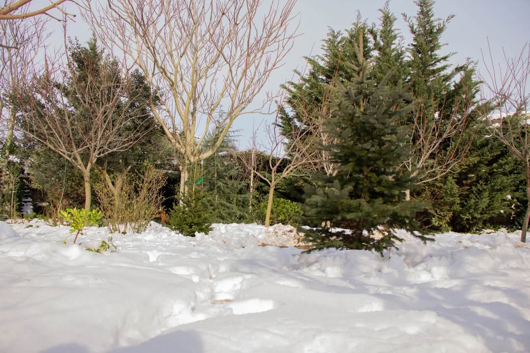 fevralin-son-gunune-olan-hava-xeberdarligi