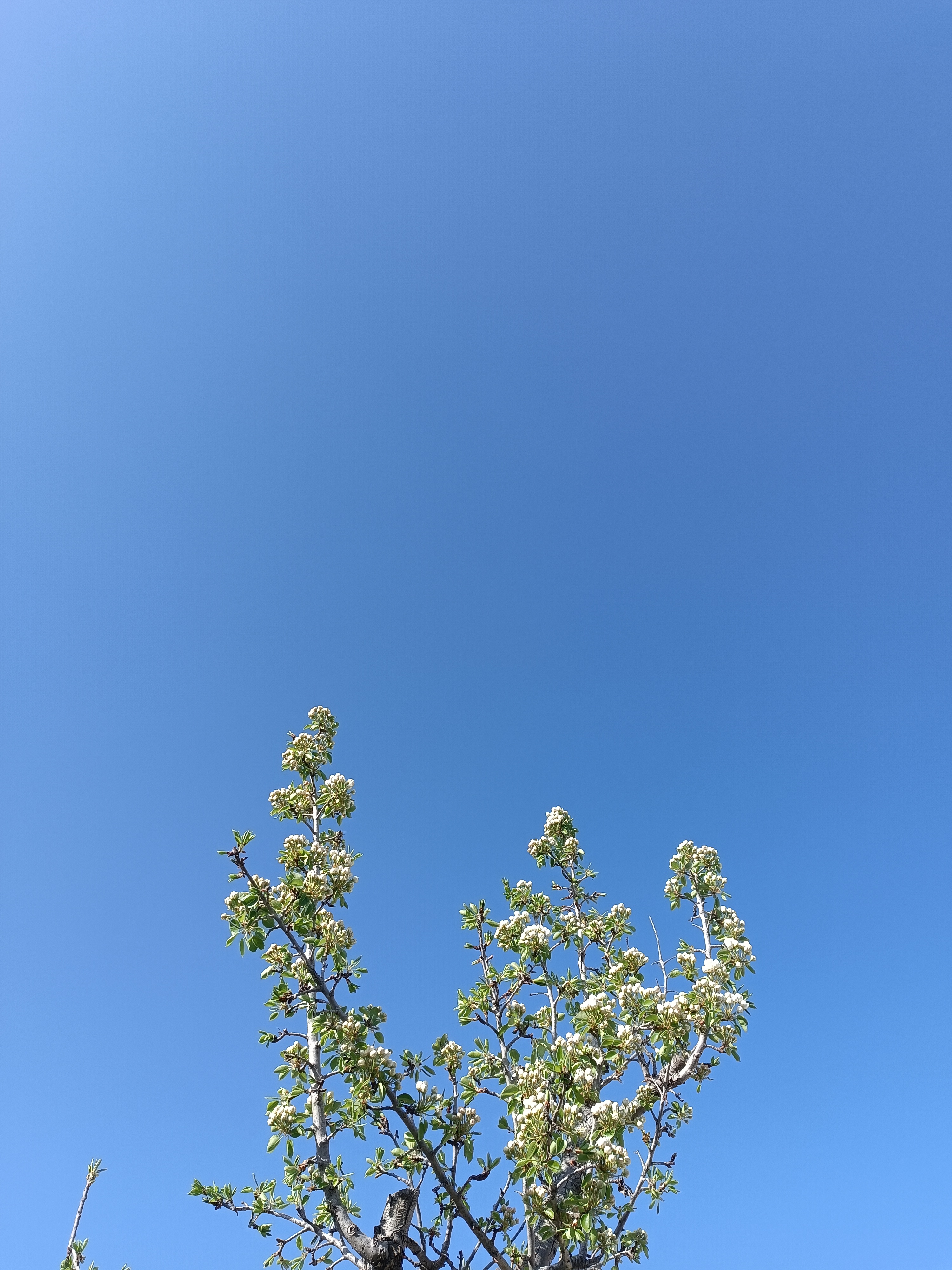 aprelin-3-ne-olan-hava-haqda-1