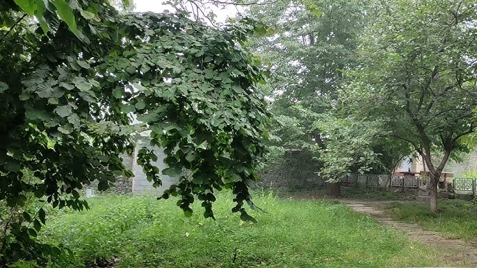 avqustun-27-ne-olan-hava-haqda-1-2