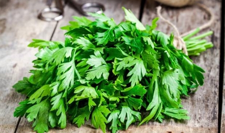 pis-yemek-qoxularina-qarsi-bu-goyertiden-istifade-edin