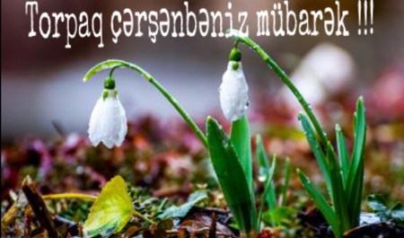 ilaxir-cersenbesinin-adetleri-nelerdir