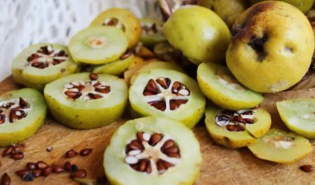 heyvani-yedikden-sonra-tumlarini-suda-saxlayin