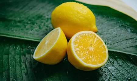 limon-qabiginda-bu-elametler-varsa