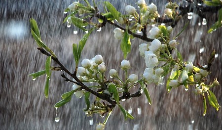 mayin-15-ne-olan-hava-haqda