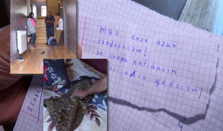 bakidaki-bu-evde-qeribe-hadiseler-bas-verir