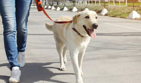 bakida-itgezdirenlerin-sayi-coxalib