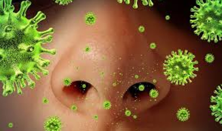 azerbaycanda-hazirda-yayilan-virus