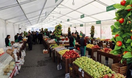 yeni-il-yarmarkalari-fealiyyete-basladi