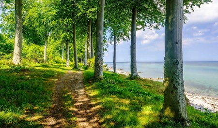 istirahet-gunlerinde-milli-parklarda-gozlenilen-hava