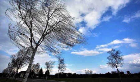 dekabrin-23-ne-olan-hava-haqda-1
